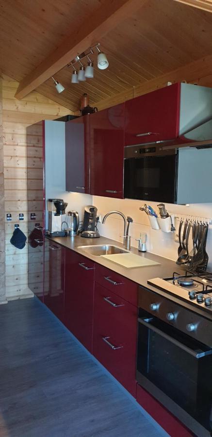 Prachtig Scandinavisch Chalet Makkum Exterior photo